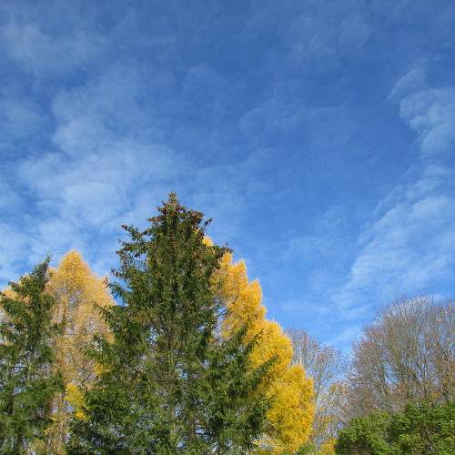 Photo #6682434
