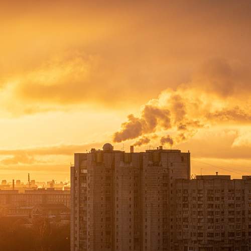Photo #6682446