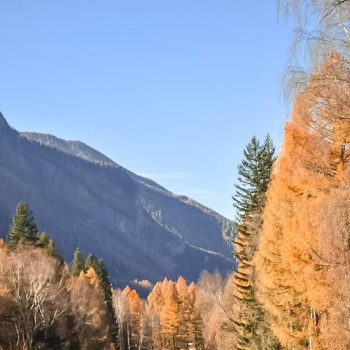 Photo #6682577