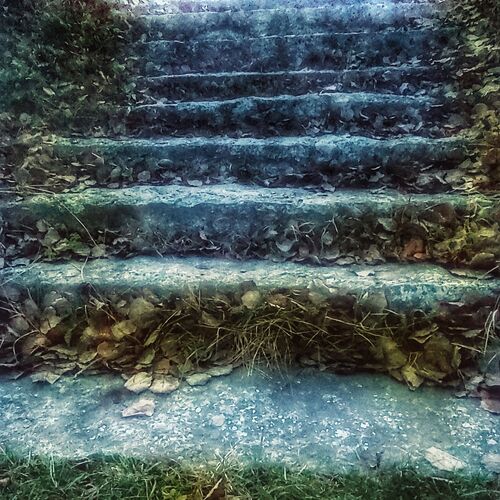 Photo #6682584