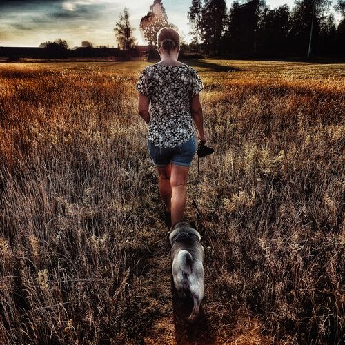 Photo #6682592