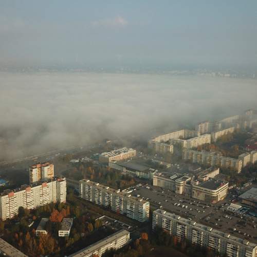Photo #6682646