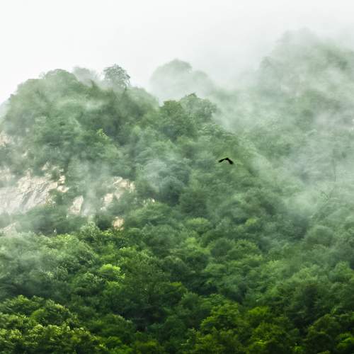Photo #6682654