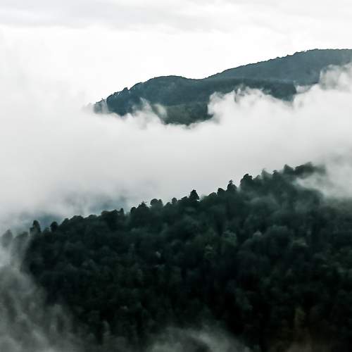 Photo #6682667