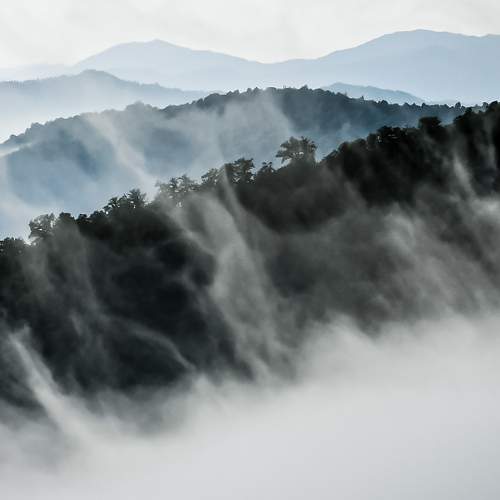 Photo #6682679