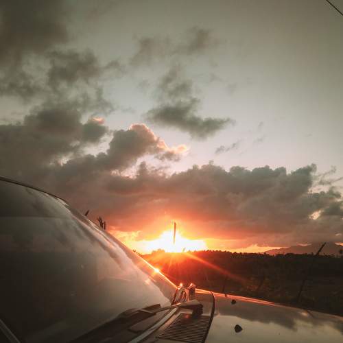 Photo #6682725