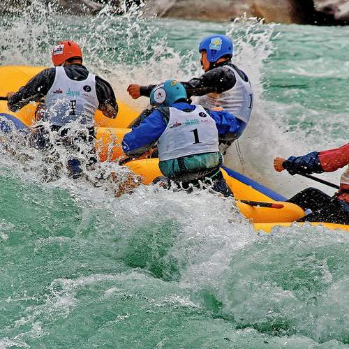 Photo #6682830