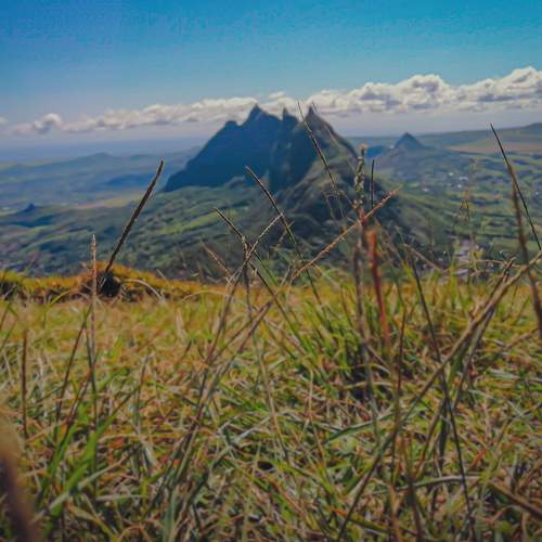 Photo #6683057