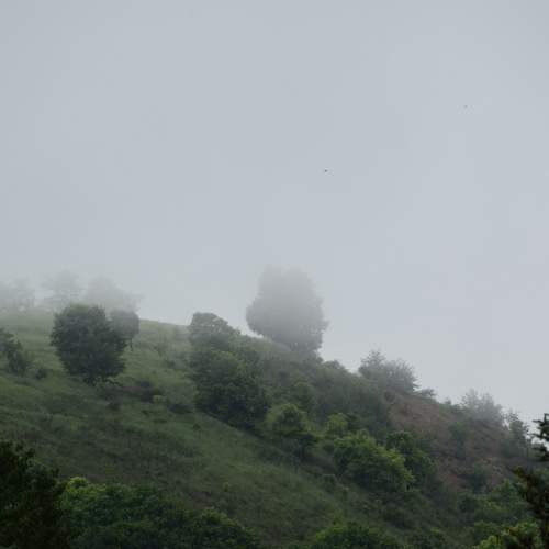 Disappearance