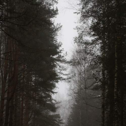 Photo #6683382