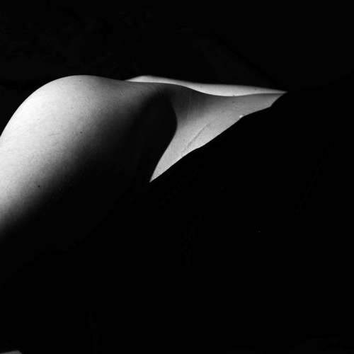 Photo #6683457