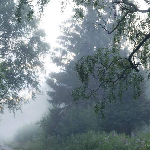 Photo #6683532