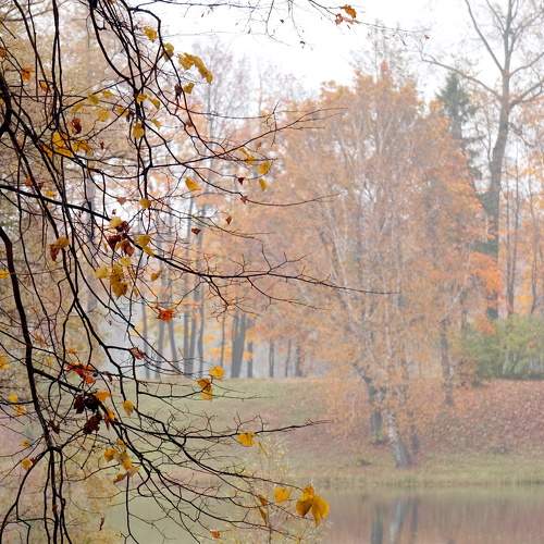 Photo #6683535