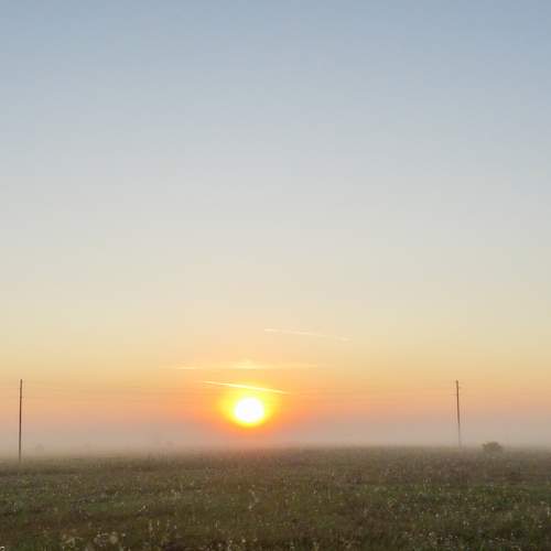 Photo #6683774
