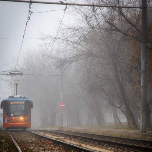 Photo #6683942