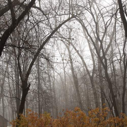 Photo #6683947