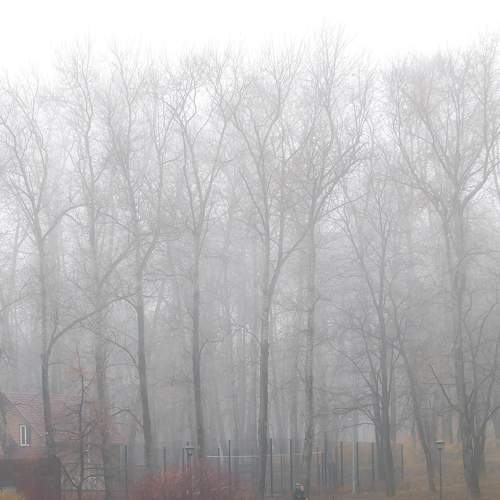 Photo #6683951