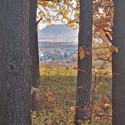 Photo #6683963