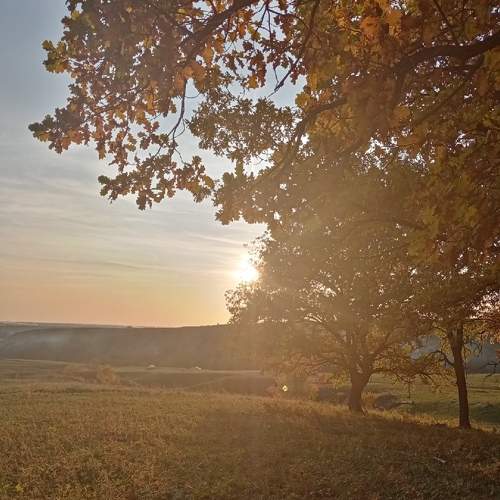 Photo #6684002