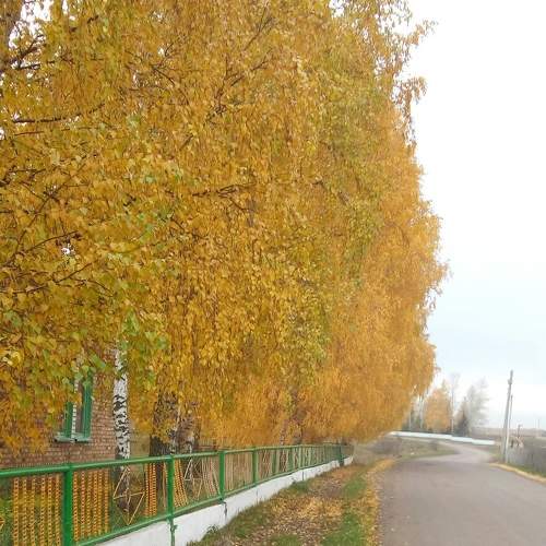 Photo #6684205