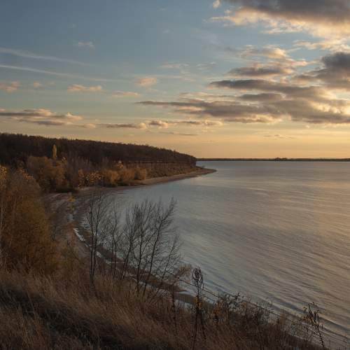 Photo #6684488