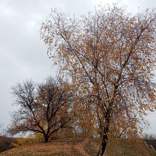 Photo #6684541