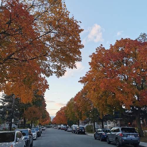 Photo #6684634