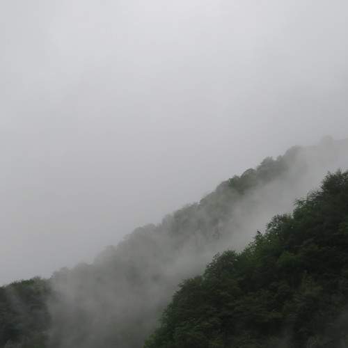 Photo #6684735
