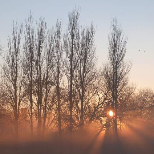 Photo #6684856