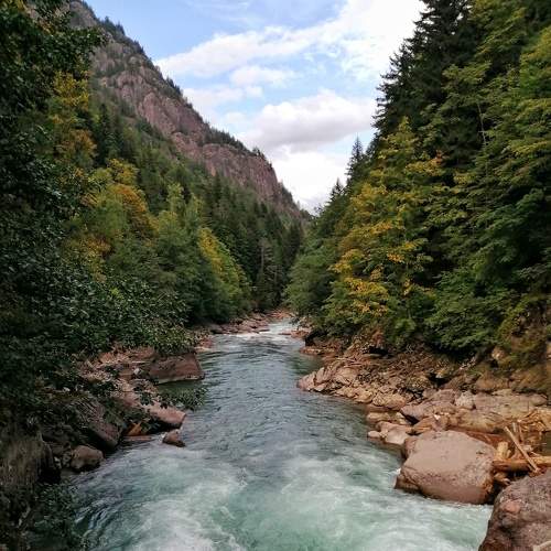 Photo #6685004