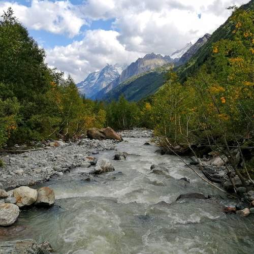 Photo #6685052