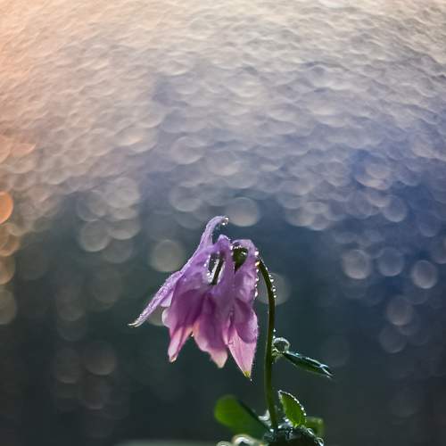 Photo #6685620