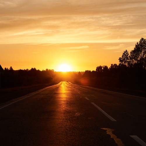 Photo #6685721
