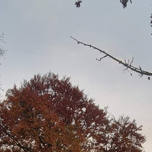 Photo #6685893