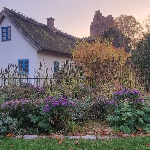 Photo #6685895