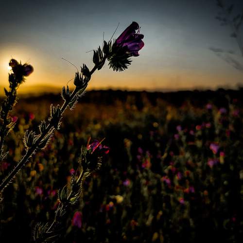 Photo #6685959