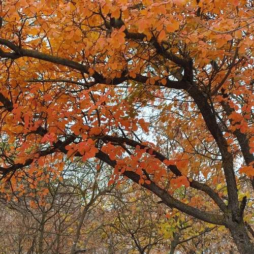 Photo #6686046