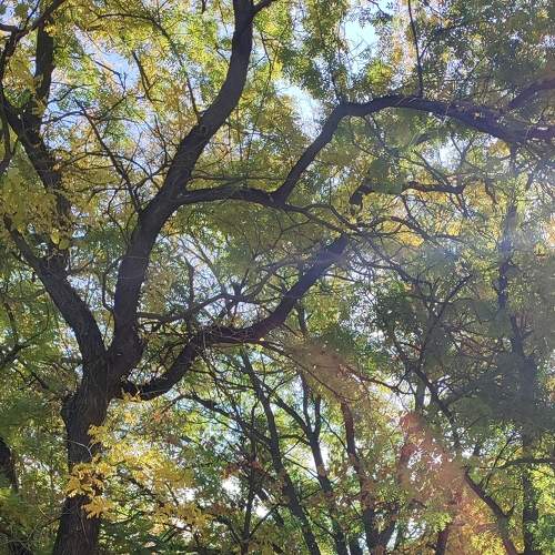 Photo #6686090