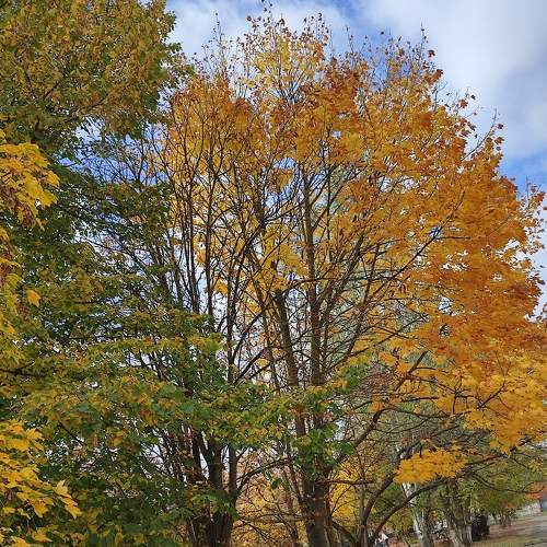 Photo #6686091