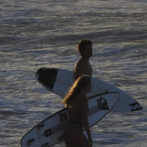 Photo #6686148