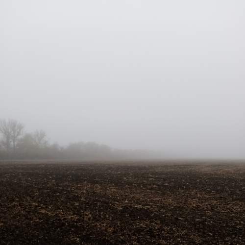 Photo #6686262