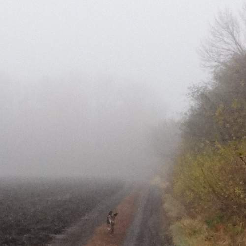 Photo #6686268