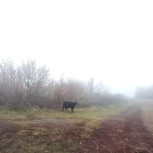Photo #6686272