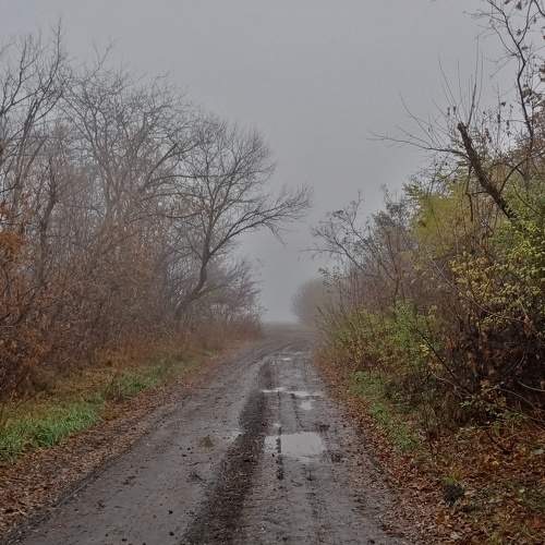 Photo #6686295