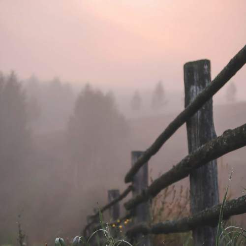 Photo #6686372