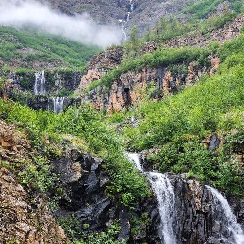 Photo #6686500