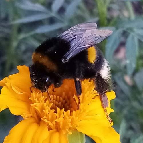 Photo #6686550