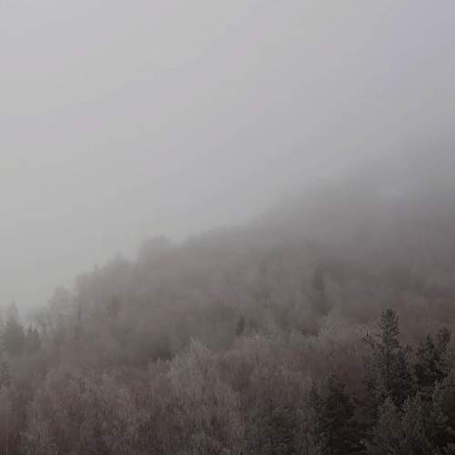 Photo #6686687