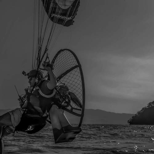 Photo #6686719