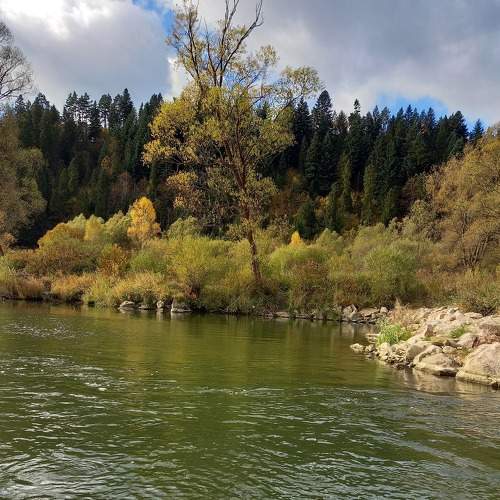 Photo #6687164